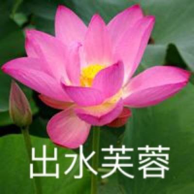 天缘传说vivo客户端下载